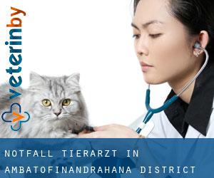 Notfall Tierarzt in Ambatofinandrahana District