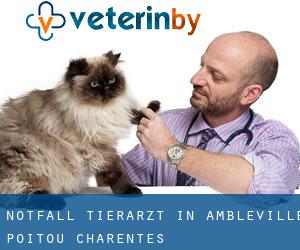 Notfall Tierarzt in Ambleville (Poitou-Charentes)