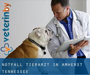 Notfall Tierarzt in Amherst (Tennessee)