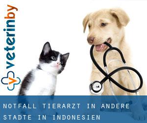 Notfall Tierarzt in Andere Städte in Indonesien