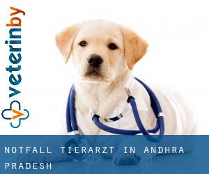 Notfall Tierarzt in Andhra Pradesh Notfall Tierarzt in Andhra Pradesh
