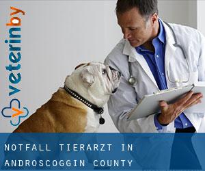 Notfall Tierarzt in Androscoggin County
