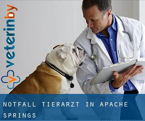Notfall Tierarzt in Apache Springs