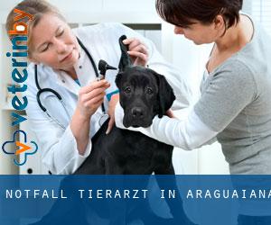 Notfall Tierarzt in Araguaiana
