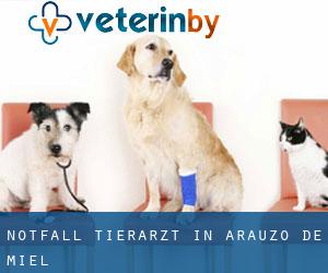 Notfall Tierarzt in Arauzo de Miel