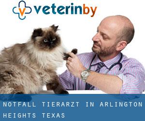 Notfall Tierarzt in Arlington Heights (Texas)