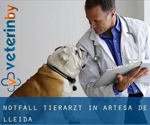 Notfall Tierarzt in Artesa de Lleida