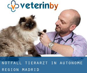Notfall Tierarzt in Autonome Region Madrid