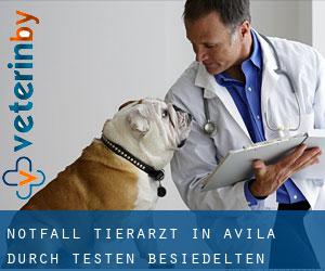 Notfall Tierarzt in Avila durch testen besiedelten gebiet - Seite 1