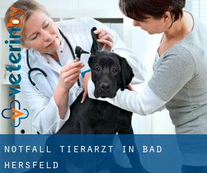 Notfall Tierarzt in Bad Hersfeld