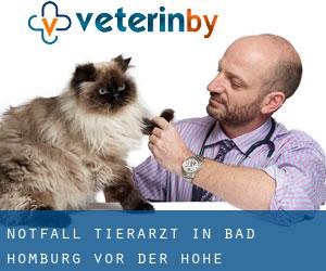 Notfall Tierarzt in Bad Homburg vor der Höhe