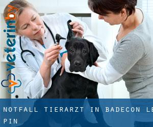 Notfall Tierarzt in Badecon-le-Pin