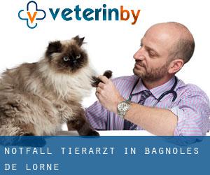 Notfall Tierarzt in Bagnoles-de-l'Orne
