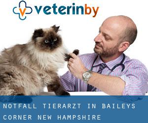 Notfall Tierarzt in Baileys Corner (New Hampshire)