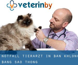 Notfall Tierarzt in Ban Khlong Bang Sao Thong