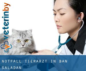 Notfall Tierarzt in Ban Saladan