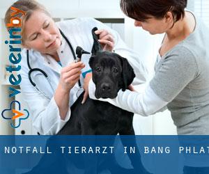 Notfall Tierarzt in Bang Phlat