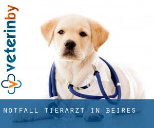 Notfall Tierarzt in Beires