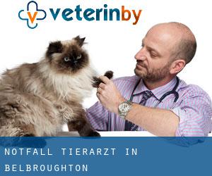 Notfall Tierarzt in Belbroughton