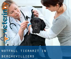 Notfall Tierarzt in Berchevilliers