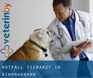 Notfall Tierarzt in Binanwanaan