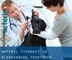 Notfall Tierarzt in Blankenburg (Thüringen)