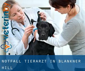 Notfall Tierarzt in Blankner Hill