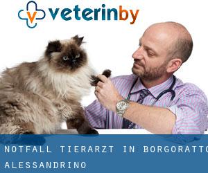 Notfall Tierarzt in Borgoratto Alessandrino
