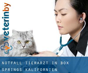 Notfall Tierarzt in Box Springs (Kalifornien)