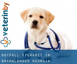 Notfall Tierarzt in Bramblewood (Georgia)