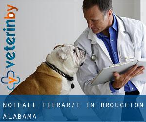Notfall Tierarzt in Broughton (Alabama)