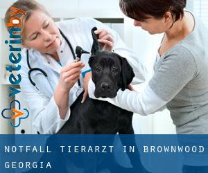 Notfall Tierarzt in Brownwood (Georgia)