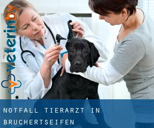 Notfall Tierarzt in Bruchertseifen