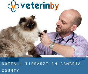 Notfall Tierarzt in Cambria County