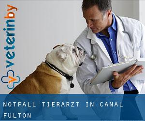 Notfall Tierarzt in Canal Fulton