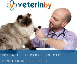 Notfall Tierarzt in Cape Winelands District Municipality durch testen besiedelten gebiet - Seite 1