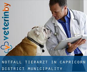 Notfall Tierarzt in Capricorn District Municipality
