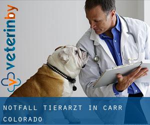 Notfall Tierarzt in Carr (Colorado)