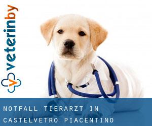 Notfall Tierarzt in Castelvetro Piacentino