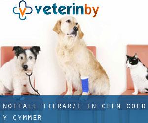 Notfall Tierarzt in Cefn-coed-y-cymmer