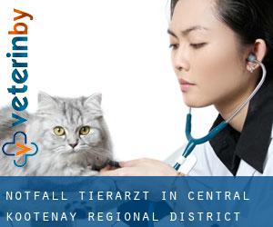 Notfall Tierarzt in Central Kootenay Regional District