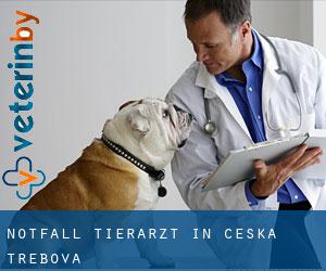 Notfall Tierarzt in Česká Třebová