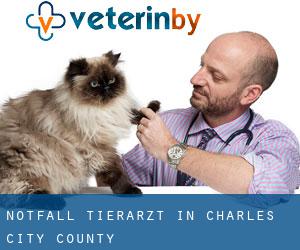 Notfall Tierarzt in Charles City County