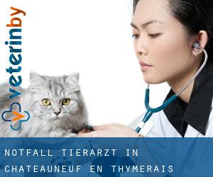 Notfall Tierarzt in Châteauneuf-en-Thymerais