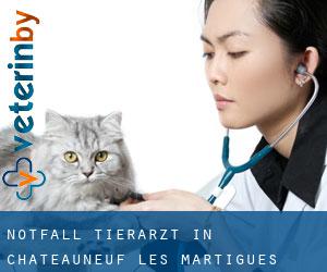 Notfall Tierarzt in Châteauneuf-les-Martigues