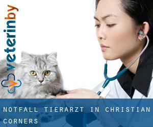 Notfall Tierarzt in Christian Corners