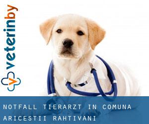Notfall Tierarzt in Comuna Ariceştii-Rahtivani