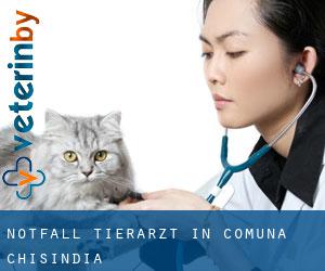 Notfall Tierarzt in Comuna Chisindia