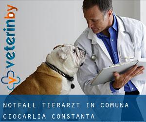 Notfall Tierarzt in Comuna Ciocârlia (Constanţa)