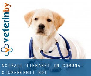 Notfall Tierarzt in Comuna Ciupercenii Noi